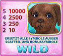 Cute & Fluffy Spielautomat Wild